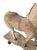 Decorative 19th-Century Carved Wooden Horse on Platform For Sale - Image 9 of 13