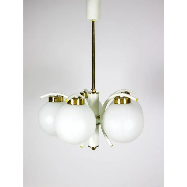 Mid-Century 5 Arms Brass Chandelier by Emi For Sale - Image 13 of 13