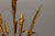Mid-Century Hollywood Regency Chandelier with Cattail Motifs, 1950s For Sale - Image 13 of 18