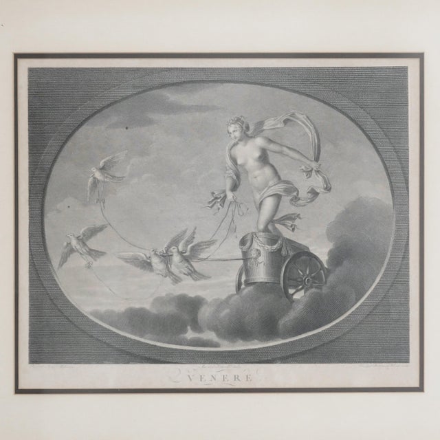 Late 18th–Early 19th Century Neoclassical “Venere” Venus Engraving After Raphael – Tofanelli & Bertigneni For Sale In New York - Image 6 of 14