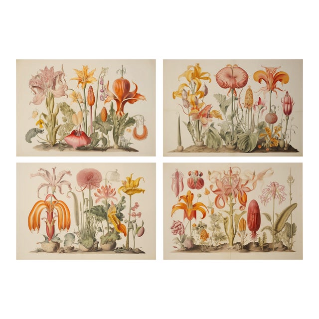 Set of 4 - 18" X 12.5" Botanical Prints 'Hortus Floridus' Style Flowers #4, Unframed For Sale