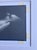 Alexander Cañedo Signed Chalk Drawing — Reclining Female Figure on Deep Blue Paper (Mid‑Century) For Sale - Image 12 of 15