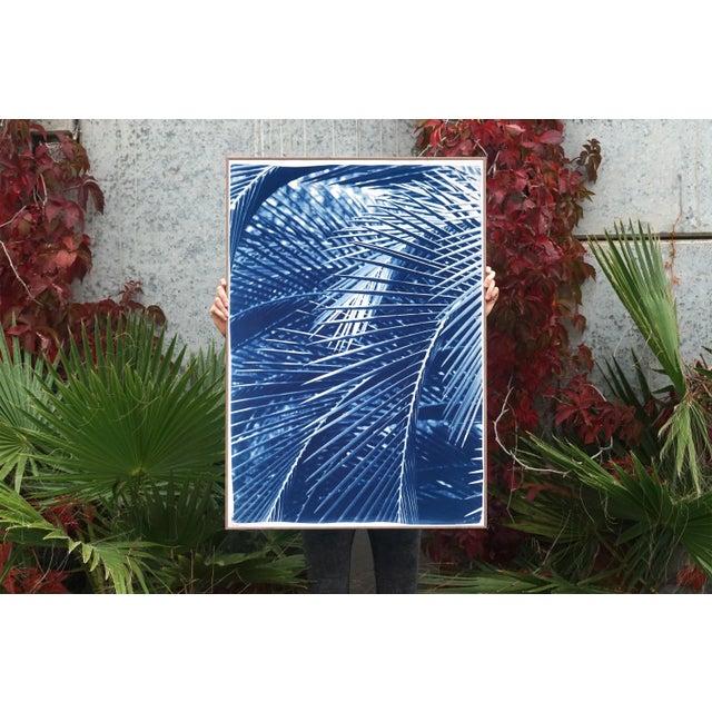 Paper 2021 "Majesty Palm Pattern" Handmade Cyanotype Print on Watercolor Paper For Sale - Image 7 of 7
