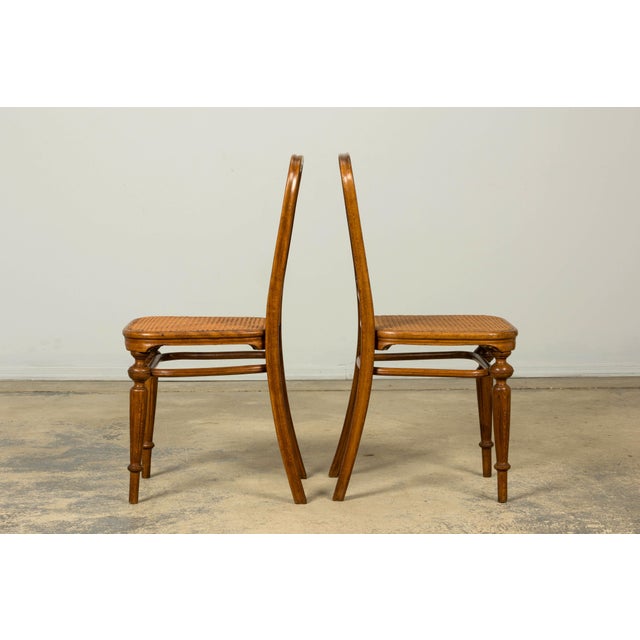 Set of 10 Late 19th Century Austrian Thonet Bentwood Cane Dining Chairs For Sale - Image 15 of 18