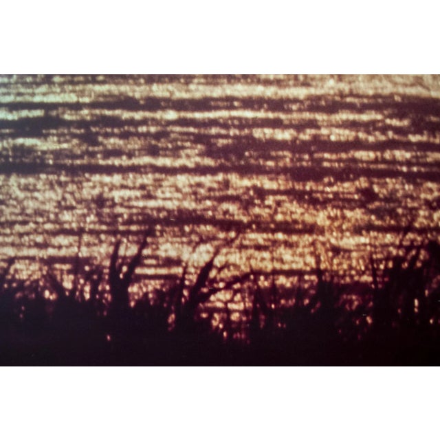 Vintage Italian Landscape Print by Franco Fontana for A. Villani & Figli, 1976 For Sale - Image 4 of 7