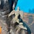 Gray Apollo Moreau, Figurative Sculpture, 19th Century, Bronze For Sale - Image 8 of 14