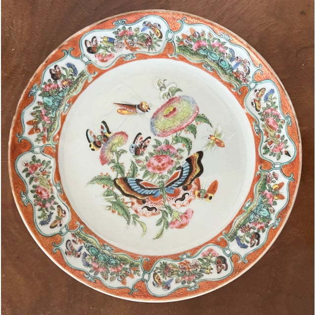 Antique Early 19th Century Chinese Export Porcelain Plate With Rose Medallion Decoration of Butterflies and Insects For Sale - Image 10 of 10
