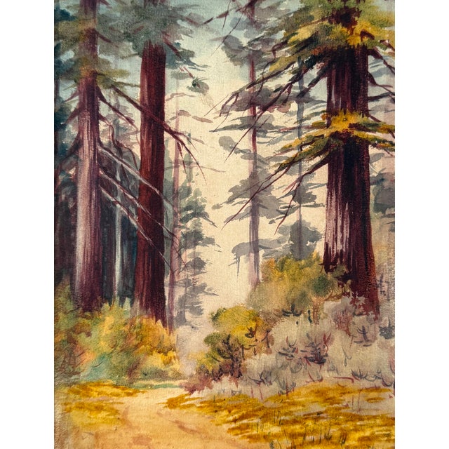 American "Redwoods Richdale Corralitos" 1912 Original Watercolor by Minnie MaGill Pardee For Sale - Image 3 of 6