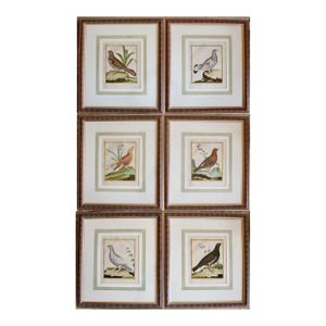 Set of Six Finely Framed Original Engravings of Grouse by François-Nicolas Martinet, 18th Century