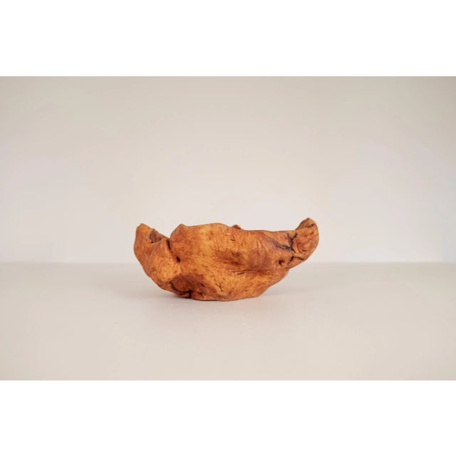 This large burl made in Sweden with precision handcraft gives a nice edition to any living room with intention to give an...