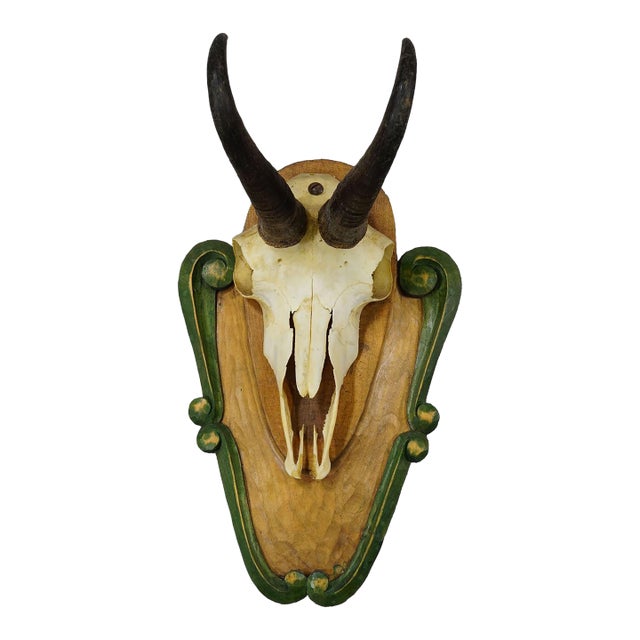 Vintage Black Forest Chamois Trophy on Carved Plaque Ca. 1950 For Sale