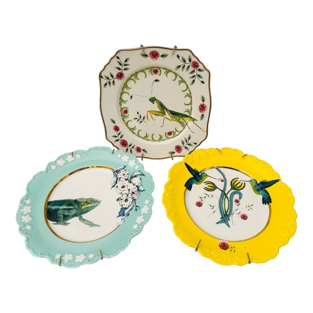 Anthropologie Lou Rota Set of 3 "Nature Table" Salad Plates For Sale