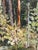 Ann‑cathrine Tine Lundkvist, Forest Landscape, 1975, Oil Painting on Canvas, Framed For Sale - Image 6 of 15