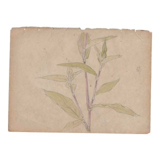 1960s Japanese Foliate Watercolor For Sale