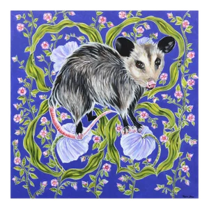 Possum on Blue - Original Vivid Figurative Animal Original Artwork by Naomi Jones