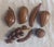 Mid 20th Century Mid-Century Modern Hand-Carved Monkey Pod Wood Fruit & Leaf Bowl Set - 8 Pieces For Sale - Image 5 of 5