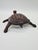 Brown Turtle Figurine in Natural Leather, 1960s-1970s For Sale - Image 8 of 14