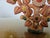 Ceramic Mexican Tree of Life Terracotta Chandelier, 1970s For Sale - Image 7 of 14