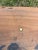Late 1800s Rare “Star Union” Railroad Shipped Wood Crate Side For Sale - Image 10 of 15