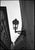 Paul Cooklin, Street Lamp, Prague, Edition of 50 For Sale - Image 7 of 7