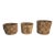 1920s Collection of Early Hand Woven Baskets For Sale