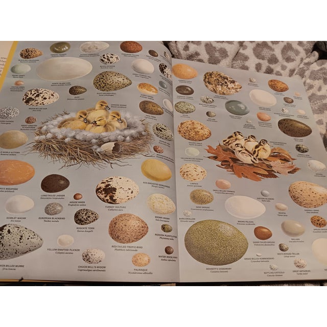 Last Call -Stack Large Reference/ Coffee Table Books- Set of 3 For Sale - Image 11 of 12