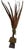 Vintage Natural Pheasant Feather Sculptural Arrangement on Metal Base Sculpture With Moss & Twisted Vine For Sale - Image 11 of 12