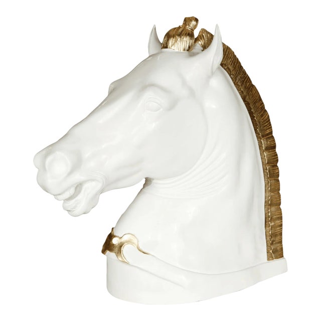 Gorgeous Horse Head For Sale