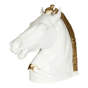 Gorgeous Horse Head
