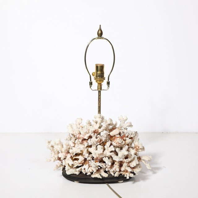 Mid 20th Century Mid-Century Modernist Coral Table Lamp With Walnut Base & Brass Fittings For Sale - Image 5 of 10