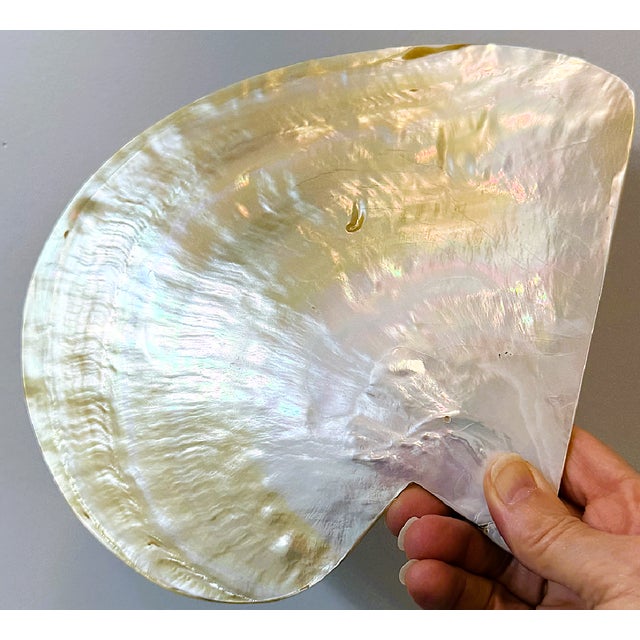 Vintage Mother of Pearl Caviar Dishes and Spoons For Sale - Image 11 of 16