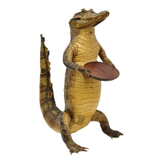 Vintage Alligator Waiter Standing Full Body Mount Taxidermy Ashtray Stand For Sale