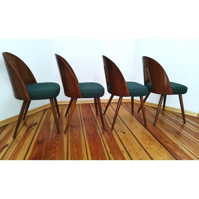 Brown Dining Chairs by A. Suman for Tatra Nabytok, Former Czechoslovakia, 1960s, Set of 4 For Sale - Image 8 of 18
