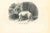 The Bulldog is an original lithograph on ivory-colored paper, realized by Paul Gervais (1816-1879). The artwork is from...