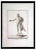 Francesco Cepparoli, Ancient Roman Statue, Original Etching, 18th Century For Sale