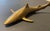 Coastal Vintage Heavy Brass Shark For Sale - Image 3 of 5