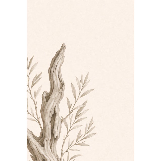 Paper Driftwood Botanical Study, Minimal Coastal Nature Art Print, 24" × 36" For Sale - Image 7 of 10