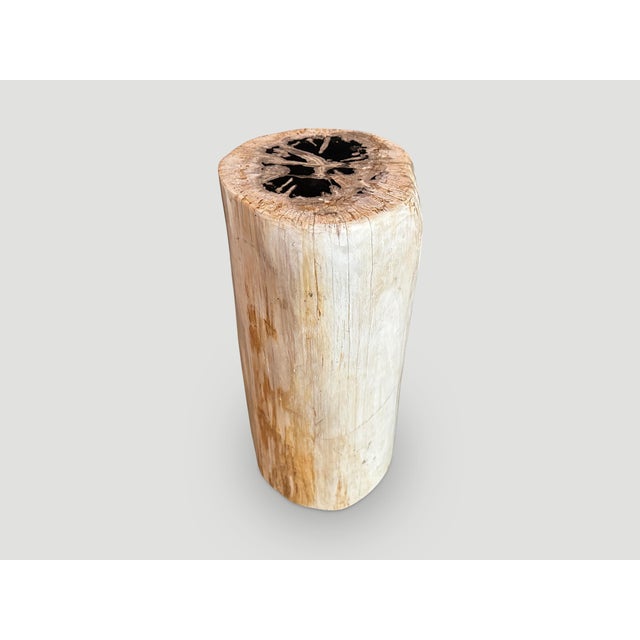 2010s Andrianna Shamaris High Quality Petrified Wood Side Table For Sale - Image 5 of 5