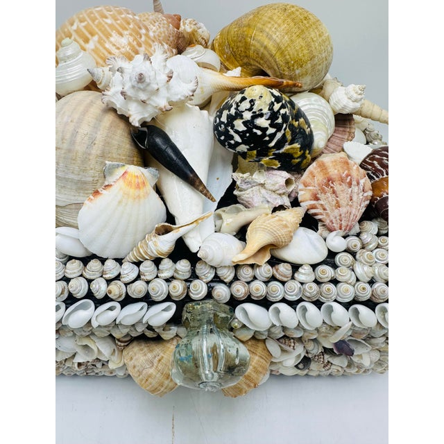 This is a beautifully crafted decorative shell box, featuring: • Design: The box is entirely adorned with a variety of...