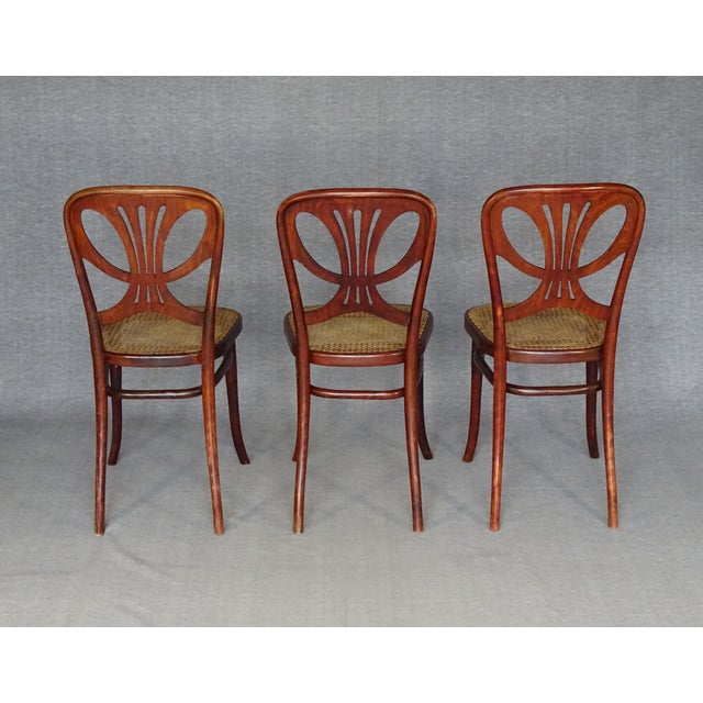 Chairs No. 642 Butterfly Model by Michael Thonet, 1910, Set of 3 For Sale - Image 9 of 15