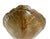 Early 20th Century Monumental Natural Antique Turtle Carapace Shell Lamp For Sale - Image 5 of 15