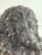 Mid 20th Century Grand Tour Italian Bronze Lion Sculpture For Sale - Image 4 of 12