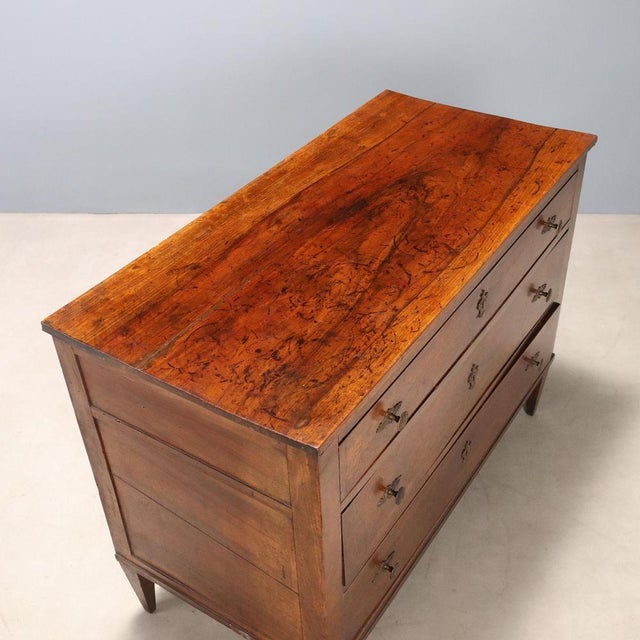 Brown Chest of Drawers in Walnut For Sale - Image 8 of 11