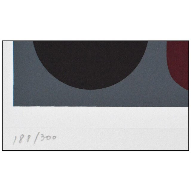 Mid 20th Century Boulonss, Victor Vasarely For Sale In Minneapolis - Image 6 of 7