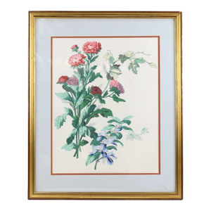 Hand-Painted Watercolor Flower Specimen Painting