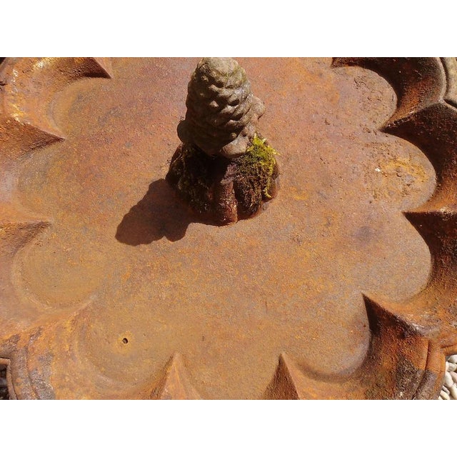 Brown Antique Iron Birdbath, 1890s For Sale - Image 8 of 12