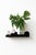 NVMD Clounds Floating Shelf in Black Steel from EMKO, Set of 2 For Sale - Image 4 of 9