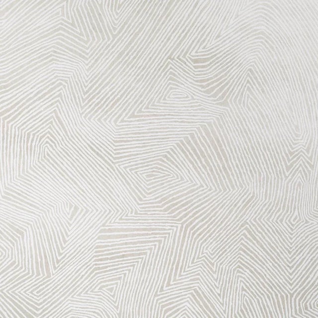 SAMPLE - Schumacher Labyrinth Grand Wallpaper In Soft Silver For Sale