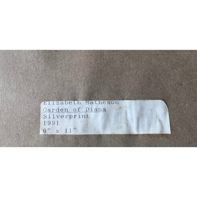 "Garden of Diana-Chateau Fontainebleau"-Elizabeth Matheson Framed Photo-1991 For Sale In New York - Image 6 of 7