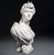 Pietro Olivieri, Diana the Huntress, 1800s, Carrara Marble For Sale - Image 5 of 12